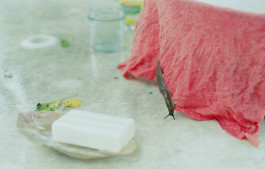 Leah Haug